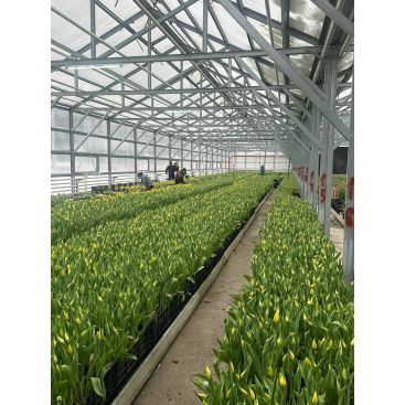 О нашем производстве