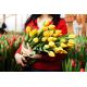 Тюльпаны собственного производства!